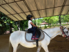 School Holiday Programme-Own A Pony Day